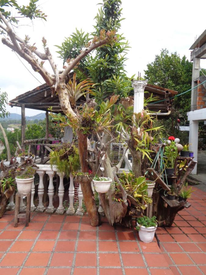 Hostal Loco Locombia ซานออกุสติน ภายนอก รูปภาพ